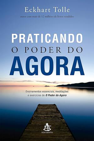 Praticando o Poder do Agora: ensinamentos essenciais, meditações e exercícios de o Poder do Agora by Eckhart Tolle