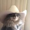 louisadelphine's profile picture