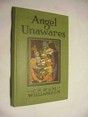 Angel Unawares by C.N. Williamson, A.M. Williamson