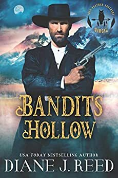 Bandits Hollow by Diane J. Reed