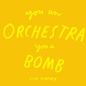 You an Orchestra You a Bomb by Cig Harvey