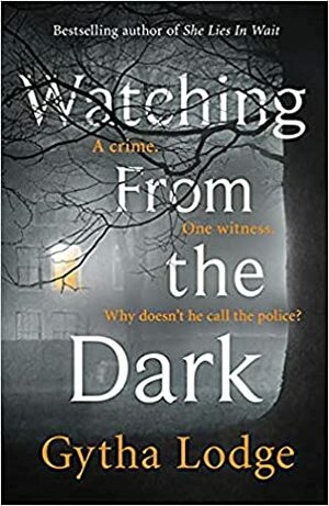 Watching from the Dark by Gytha Lodge
