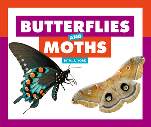 Butterflies and Moths by M. J. York