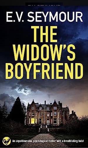 The Widow's Boyfriend by E.V. Seymour