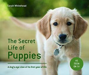 The Secret Life of Puppies: A Dog's-Eye View of Its First Year of Life by Sarah Whitehead