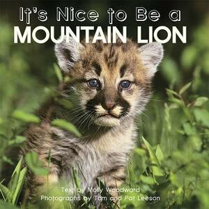 It's Nice to Be a Mountain Lion by Molly Woodward