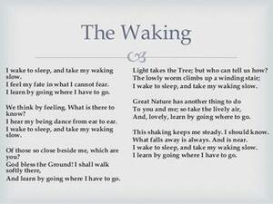 The Waking by Theodore Roethke