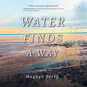 Water Finds a Way: A Novel by Meghan Perry