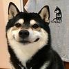 fessadan's profile picture
