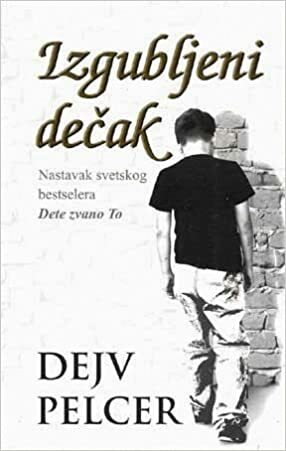 Izgubljeni dečak: dete pod starateljstvom i njegova potraga za porodicom i ljubavlju by Dave Pelzer