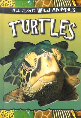 Turtles by 