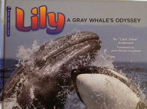 Lily, a Gray Whale's Odyssey by Jean-Michel Cousteau, David Andersen