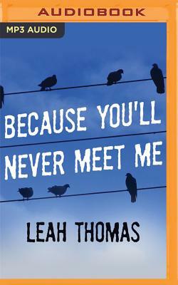 Because You'll Never Meet Me by Leah Thomas