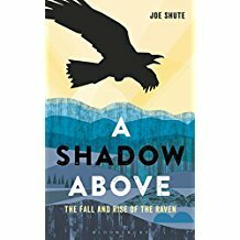 A Shadow Above: The Fall and Rise of the Raven by Joe Shute