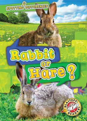 Rabbit or Hare? by Christina Leaf