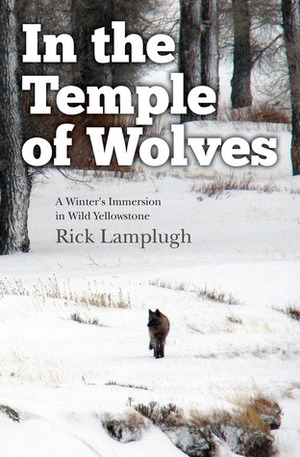 In the Temple of Wolves: A Winter's Immersion in Wild Yellowstone by Rick Lamplugh