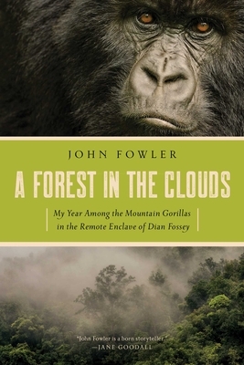 A Forest in the Clouds by John Fowler