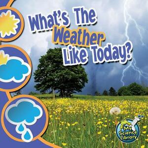 What's the Weather Like Today? by Conrad J. Storad