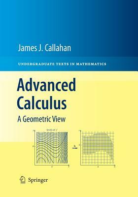 Advanced Calculus: A Geometric View by James J. Callahan