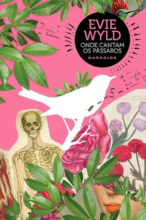 Onde cantam os pássaros by Leandro Durazzo, Evie Wyld