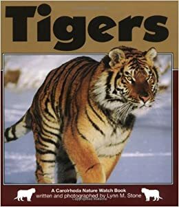 Tigers by Lynn M. Stone