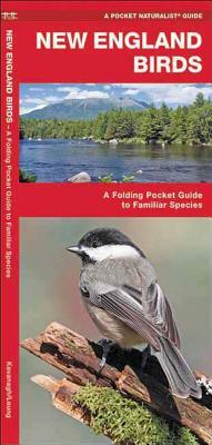 New England Birds: A Folding Pocket Guide to Familiar Species by Waterford Press, James Kavanagh