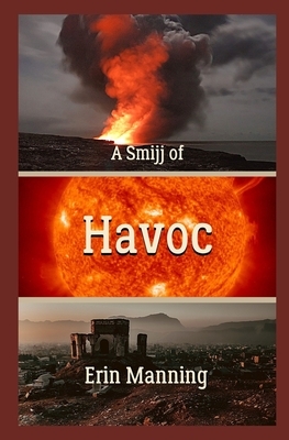 A Smijj of Havoc by Erin Manning