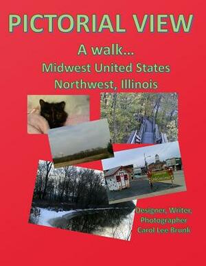 Pictorial View A walk Midwest United States Northwest Illinois: Pictorial View A walk Midwest United States Midwest Illinois by Carol Lee Brunk