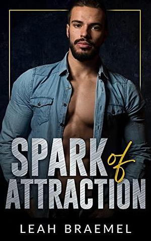 Spark of Attraction: Good With His Hands by Leah Braemel, Leah Braemel