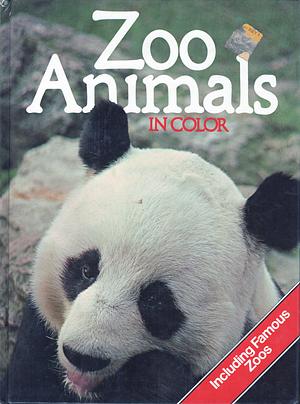 Zoo Animals In Color by Cathy Kilpatrick