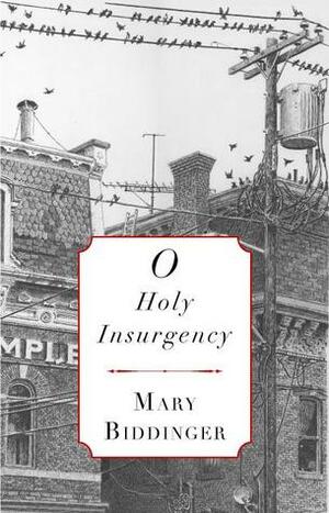 O Holy Insurgency by Mary Biddinger