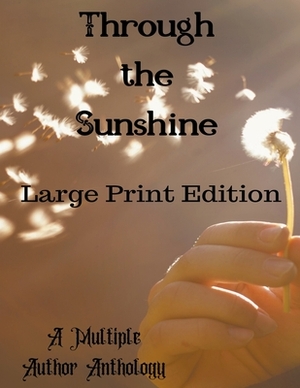Through the Sunshine Large Print by Fae Corps Publishing, Deedra Nichole, Luisa Kay Reyes