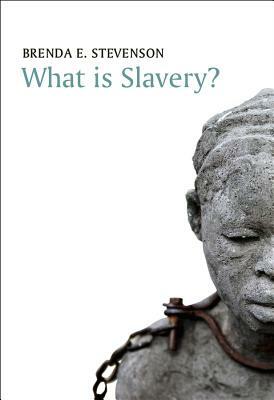 What Is Slavery? by Brenda E. Stevenson