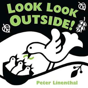 Look Look Outside! by Peter Linenthal