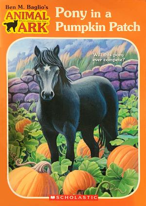 Pony in a Pumpkin Patch by Ben M. Baglio