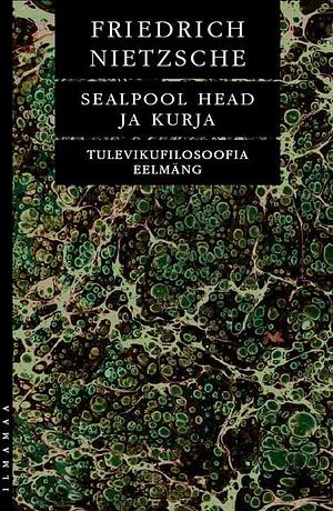 Sealpool head ja kurja. Tulevikufilosoofia eelmäng by Friedrich Nietzsche