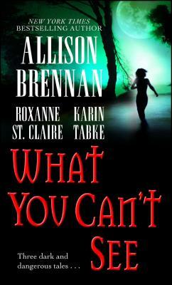 What You Can't See by Karin Tabke, Allison Brennan, Roxanne St. Claire