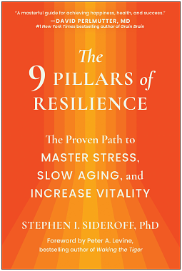 The 9 Pillars of Resilience by Stephen I. Sideroff