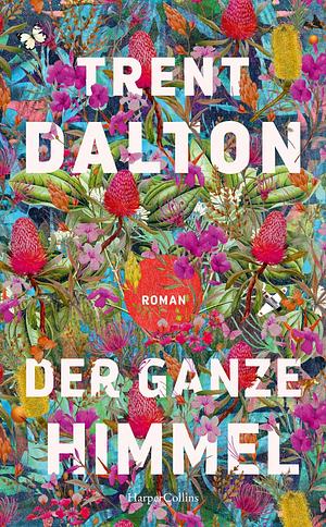 Der ganze Himmel: Roman by Trent Dalton