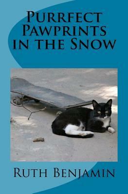 Purrfect Pawprints in the Snow by Ruth Benjamin