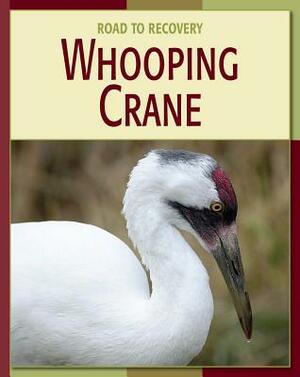 Whooping Crane by Susan H. Gray