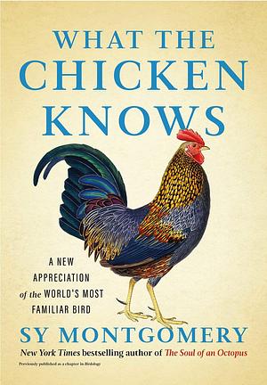 What the Chicken Knows: A New Appreciation of the World's Most Familiar Bird by Sy Montgomery