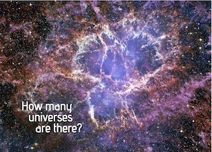 How many universes are there? by John D. Barrow, Martin J. Rees, Marianne Freiberger