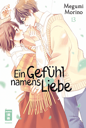 Ein Gefühl namens Liebe, Band 13 by Megumi Morino