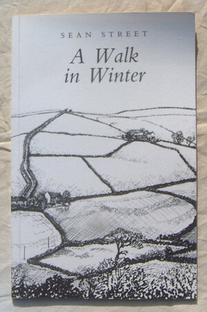 Walk in Winter by Sean Street