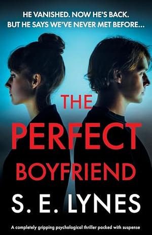 The Perfect Boyfriend by S.E. Lynes