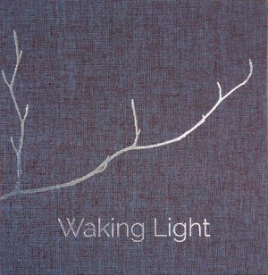 Waking Light by Kerri Ní Dochartaigh, Mícheál McCann