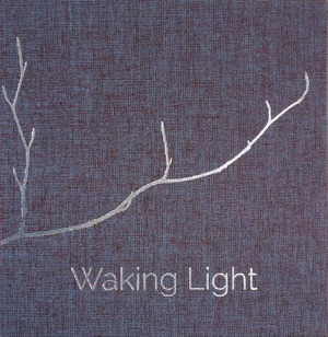 Waking Light by Mícheál McCann, Kerri ní Dochartaigh