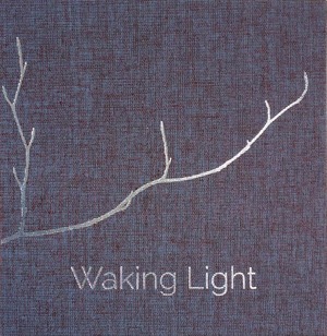 Waking Light by Kerri ní Dochartaigh, Mícheál McCann