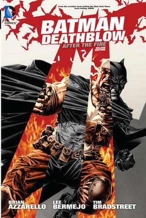 Batman/Deathblow: After The Fire by Lee Bermejo, Brian Azzarello